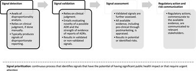 Conducting and interpreting disproportionality analyses derived from spontaneous reporting systems